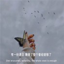 _.默守那份情