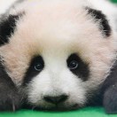 bobbd27e3b6d2544fd's Avatar