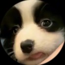wx_远方的远.33