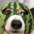 ____