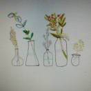 poster avatar