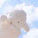 杉杉的头像-梧桐有术