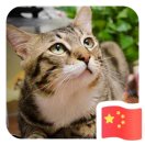 喻先生的头像