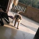 七块的头像-博士钣金 - www.bsbanjin.com