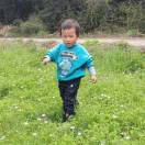 A恒业电脑监控A