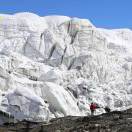 我从雪山来