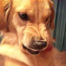 🥯长老姓唐，甜到忧伤！