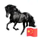 王先生的头像
