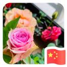 ෆ⃛ 快樂的肥肥 ෆ⃛        🍭