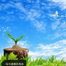 A宝哥A的头像