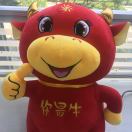路老师