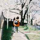 小清新的头像-千梦百万积木计划