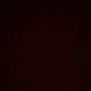 泽西市(新泽西州)求租