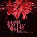 岑先生的头像