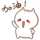 南街小学斗丹丹