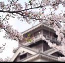 请叫我森森·董