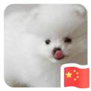 晓明同学店主头像