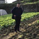 諶先鋒