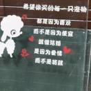 嘉禾设计-CC笔记