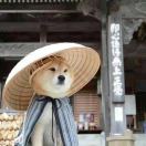 邓荣桃