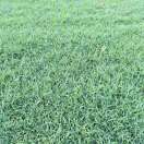 岁月静好店主头像