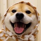 啦啦啦