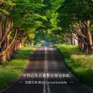 不想失去就努力争取的头像