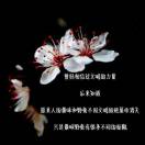 程先生的头像