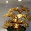 随缘   จุ๊บ