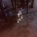 无风的头像-古德网络