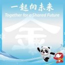 高级Web前端开发工程师