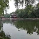 ZYM张元闽的头像-华闻时空