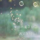 王先生的头像