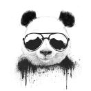 poster avatar
