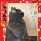 懶咪咪 ࿐ཽ²º16