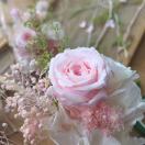 Meng Mei的钢琴谱