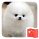 会计宝