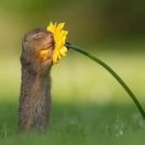 逗逗龙的头像-熵减岛