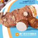 厦门圣王-魏华斌