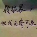 毛先生的头像