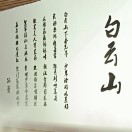 白云天masky