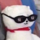 用户头标