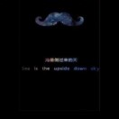 王女士的头像