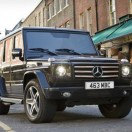 果树爱好者。的头像-小果迷