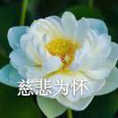 仗劍走天涯