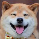 繁星的头像-小燕电子书