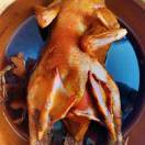 张林姜母鸭13074989445