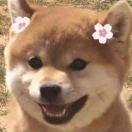 kingpray's Avatar