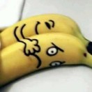 y h l