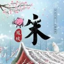 谢先生的头像